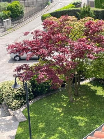 La Casa In Collina Daire Caprino Veronese Dış mekan fotoğraf
