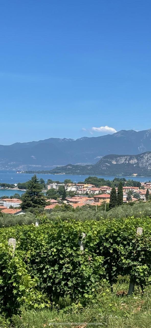 La Casa In Collina Daire Caprino Veronese Dış mekan fotoğraf
