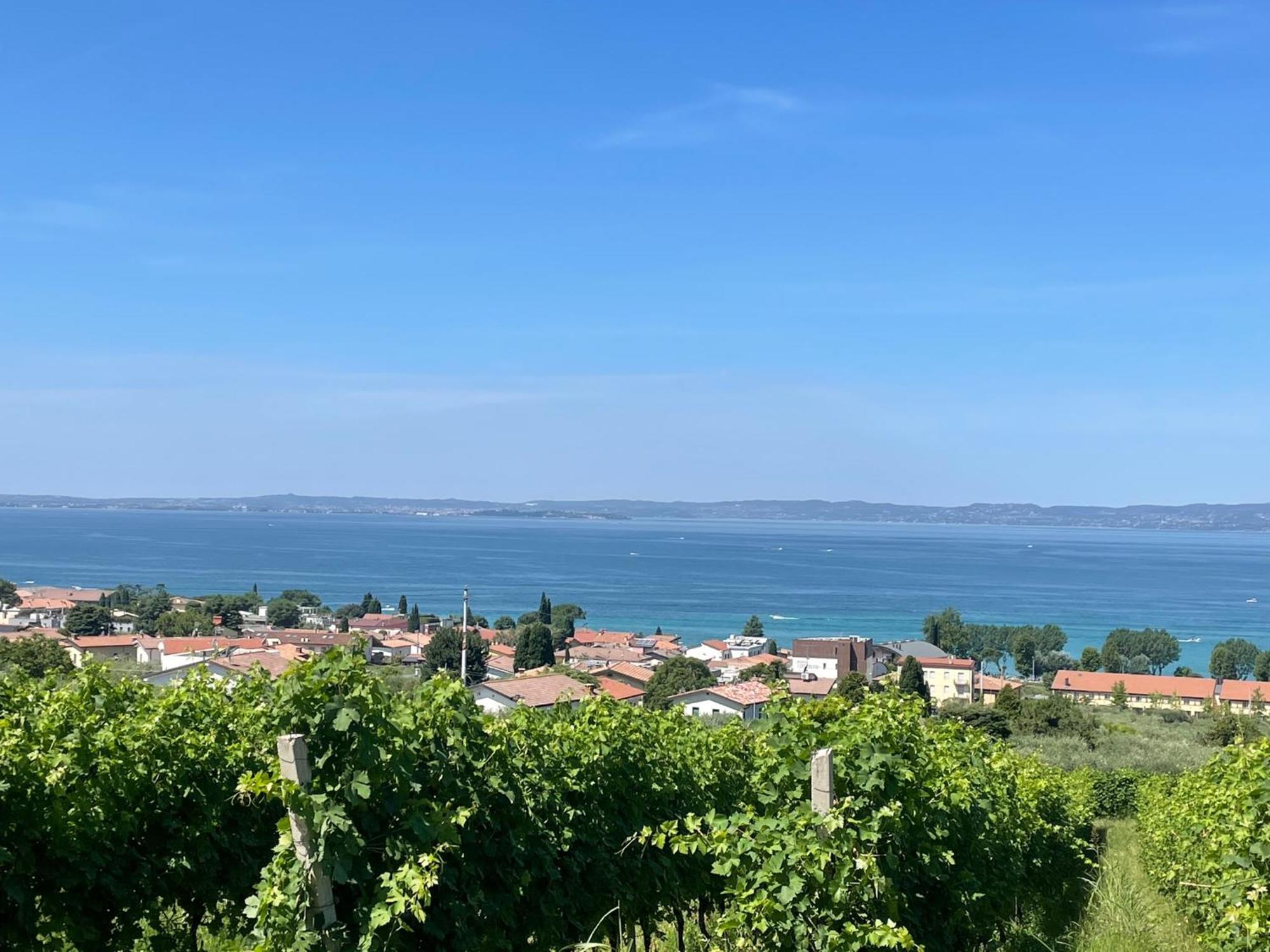 La Casa In Collina Daire Caprino Veronese Dış mekan fotoğraf